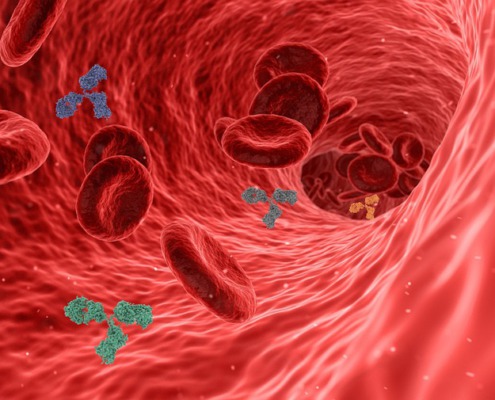 virus 5741636 640 1