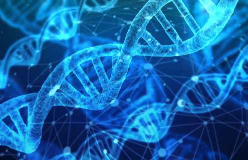 genetik dna erbe gene