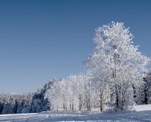 winter 5983671 640