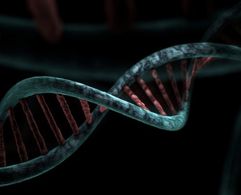 dna 6517210 640