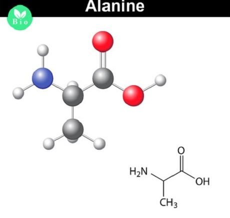 alanin 123rf 62474102 anton lebedev