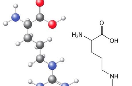 arginin 123rf 62920361 anton lebedev