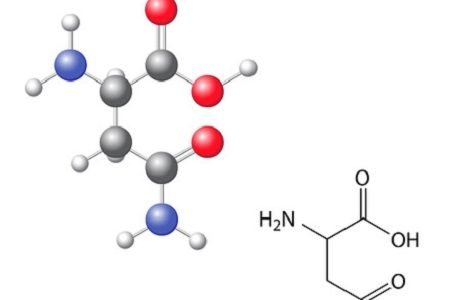 asparagin 123rf 62474292 anton lebedev