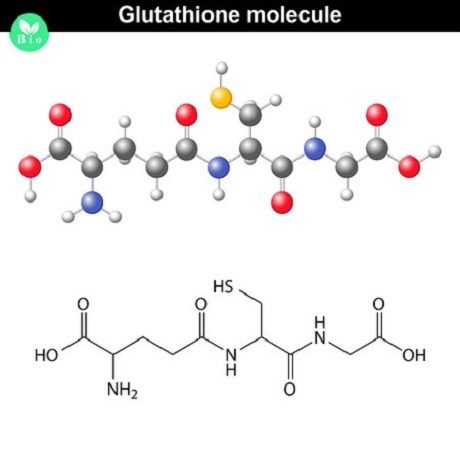 glutathion 123rf 47554251 anton lebedev