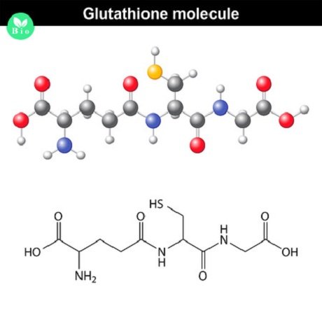 glutathion 123rf 47554251 anton lebedev