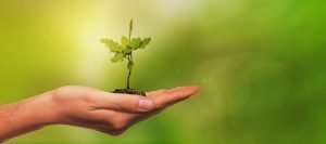 startseite vitalstoffmedizin
