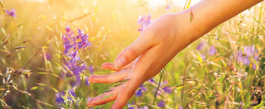 heilung natur 123rf 80688531 subbotina 1600px min 1024x469 1