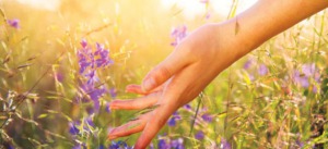 Startseite 2 heilung natur 123rf 80688531 subbotina 1600px min 1024x469 1