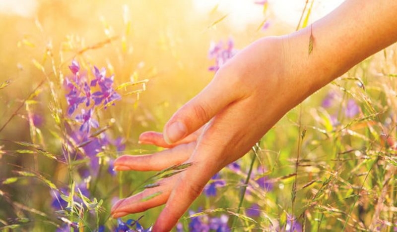 Zeoflorin – viel heiße Luft in der Kapsel?