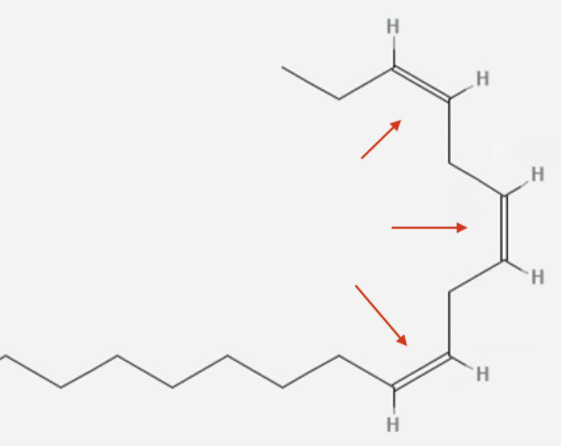 Omega 3 Bild 1