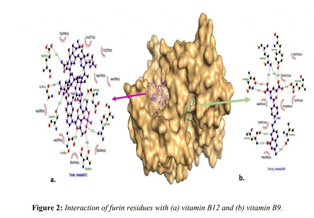 corona vitamine2