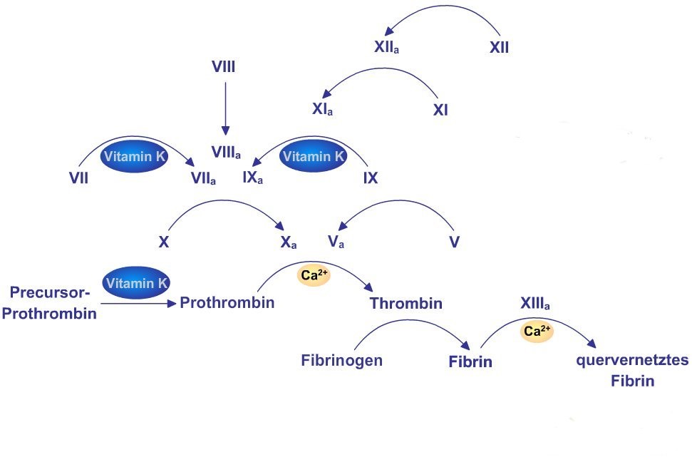 vitamink