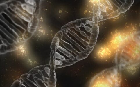 dna pixabay.com madartzgraphics