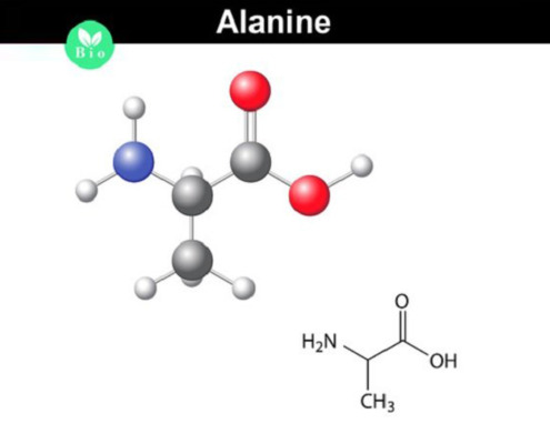 alanin