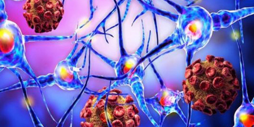 5-HTP – Serotonin-Vorstufe mit Wirkung und Risiken 1 knospe