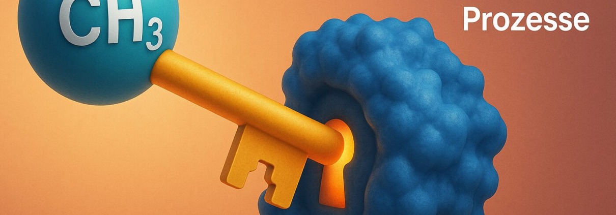 3D-Grafik: Methylgruppe CH₃ als Schlüssel in Protein-Schloss – SAMe steuert über 100 Prozesse im menschlichen Stoffwechsel.