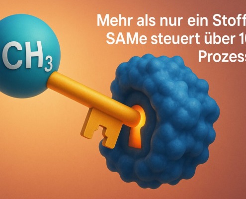 3D-Grafik: Methylgruppe CH₃ als Schlüssel in Protein-Schloss – SAMe steuert über 100 Prozesse im menschlichen Stoffwechsel.