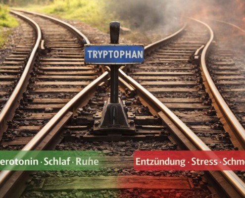 Weiche im Schienennetz mit Schild „Tryptophan“, links grüner Weg für Serotonin und Ruhe, rechts roter Weg für Entzündung, Stress und Schmerz.