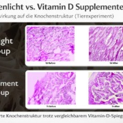 Histologischer Vergleich: Sonnenlicht-Gruppe vs. Supplement-Gruppe mit Vorher-Nachher-Knochenstruktur (Tierexperiment)