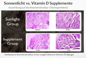 Startseite 7 Histologischer Vergleich: Sonnenlicht-Gruppe vs. Supplement-Gruppe mit Vorher-Nachher-Knochenstruktur (Tierexperiment)