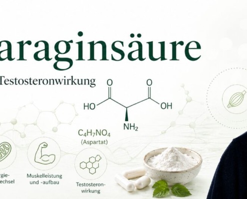 Asparaginsäure und Asparagin: Stoffwechsel, Acrylamid und die Krebsdebatte 6 René Gräber mit L-Asparaginsäure, Spargel und Strukturformel zu Stoffwechsel, Muskelaufbau und Testosteron