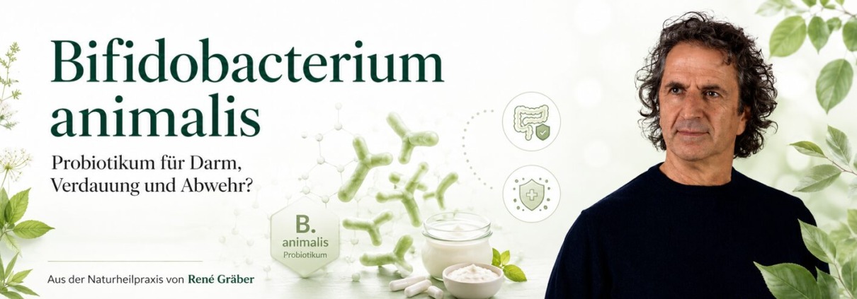 Bifidobacterium animalis 1 Beitragsbild zum Beitrag über Bifidobacterium Animalis von René Gräber