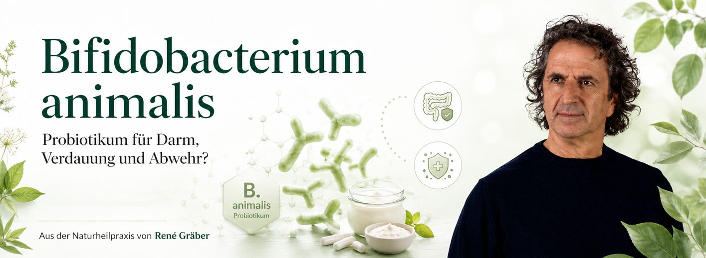 Bifidobacterium animalis 1 Beitragsbild zum Beitrag über Bifidobacterium Animalis von René Gräber