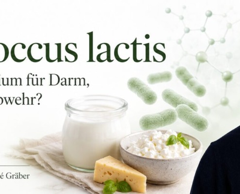 Lactococcus lactis 1 lactococcus lactis rene graeber