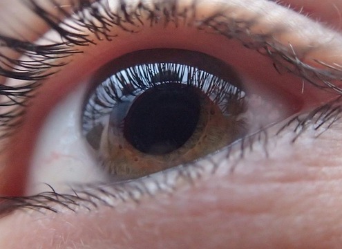Vitamin B3: 66 Prozent weniger Glaukomdiagnosen 1 tobiasd eye 321961 640
