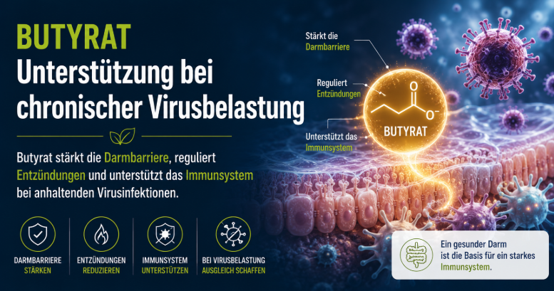 Butyrat: Freund oder Feind bei chronischer Virusbelastung? 2 Butyrat