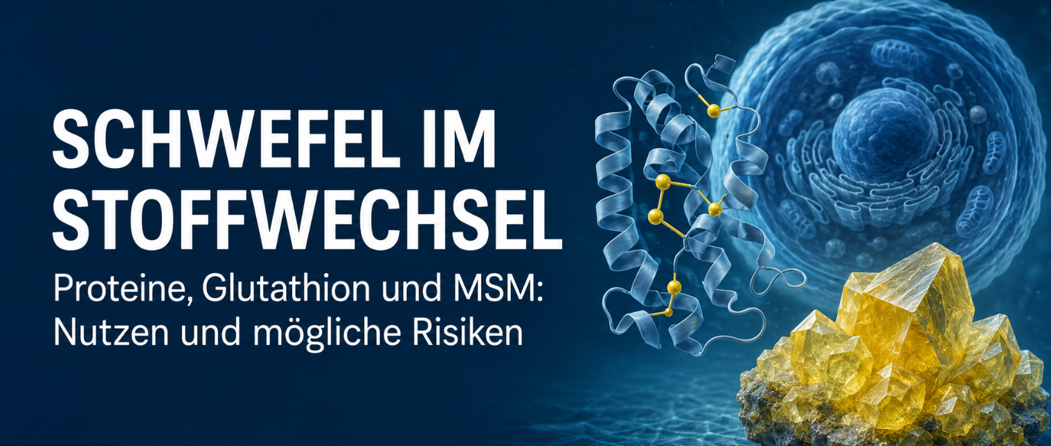 Die Heilkraft des Schwefels 1 Schwefel im Stoffwechsel – Bedeutung für Proteine und Glutathion sowie Nutzen und Risiken von MSM