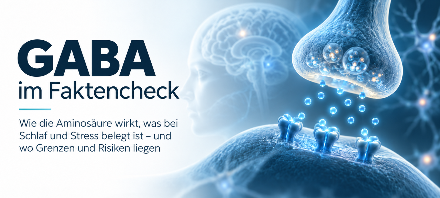GABA – Wirkung, Anwendung, Schlaf und Stress im Faktencheck 1 GABA im Faktencheck – Darstellung einer Synapse und des Nervensystems zur Wirkung von Gamma-Aminobuttersäure bei Schlaf und Stress